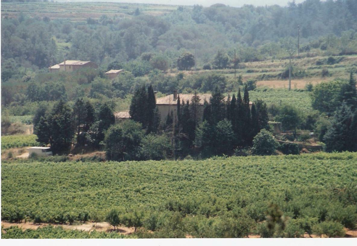 Domaine Chanoine Rambert Saint-Andre-d'Olerargues 外观 照片